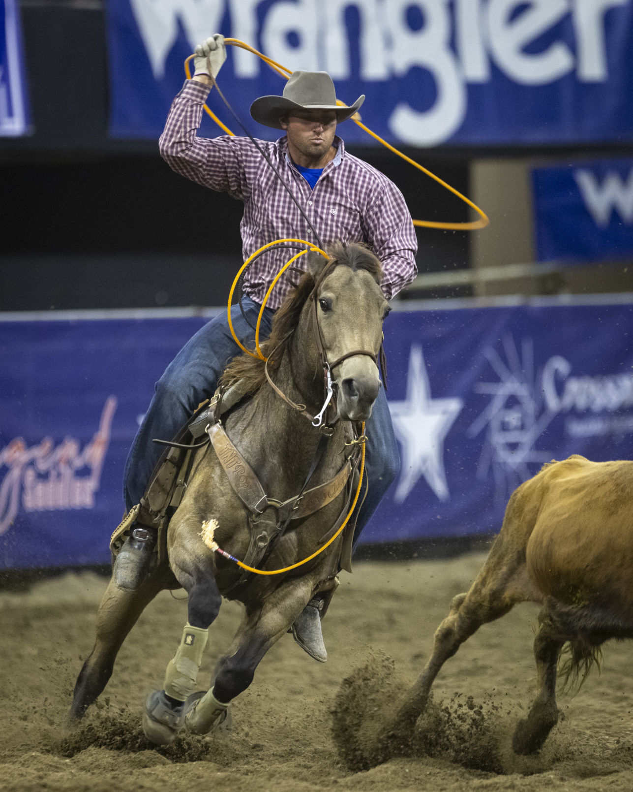 Wrangler Team Roping Championship